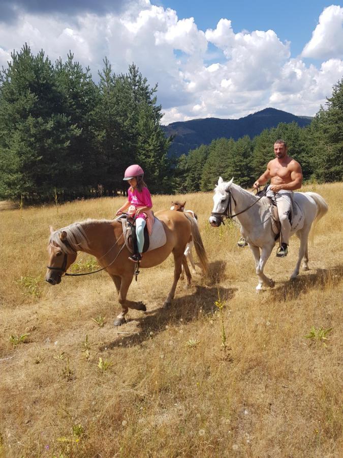 Dona Guest House - Horse Riding Koprivshtitsa Exterior photo